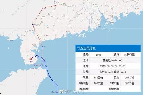 徐闻最新爆料,揭秘事件背后惊人真相 第3张 徐闻最新爆料,揭秘事件背后惊人真相 第3张