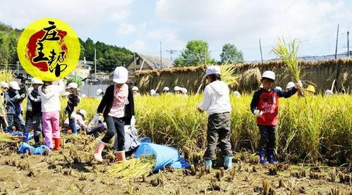 黑龙江农场爆料事件最新,揭露背后惊人真相 第2张 黑龙江农场爆料事件最新,揭露背后惊人真相 第2张